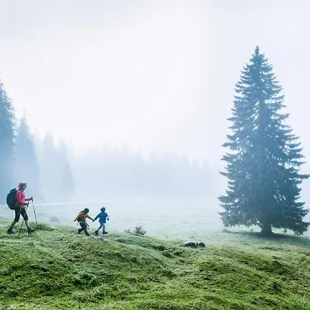 Seefeld-lodge 호텔 3*