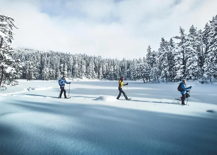 Seefeld-lodge Отель 3*