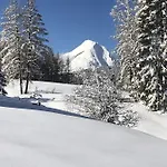 فندق Seefeld-lodge سيفيلد ان تيرول